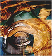 A description of the picture